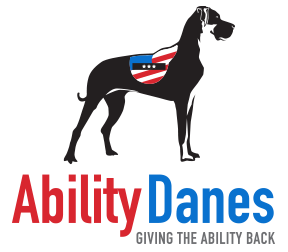 Ability Danes